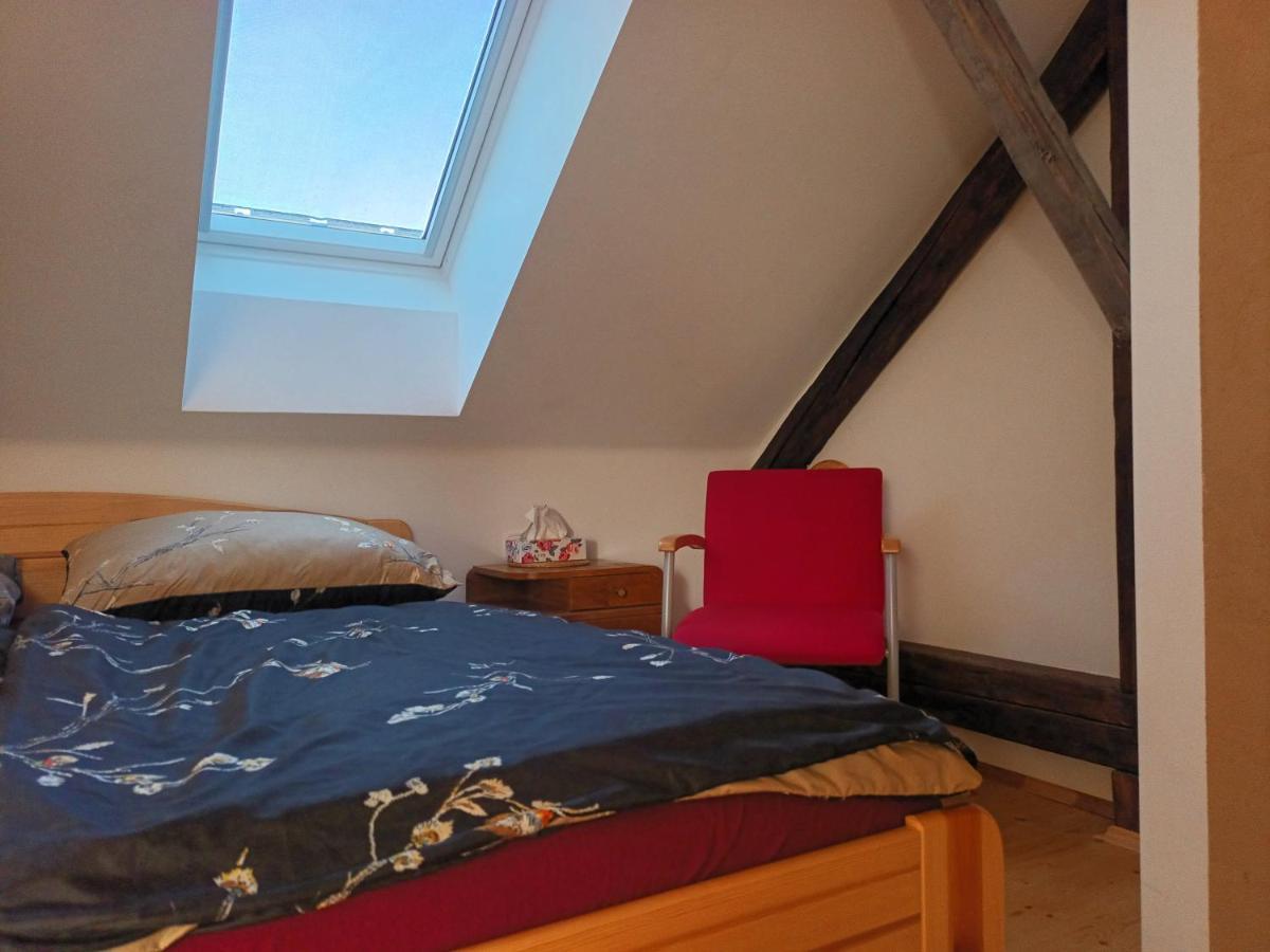 Za Vodou Guest House Moravská Nová Ves Eksteriør bilde
