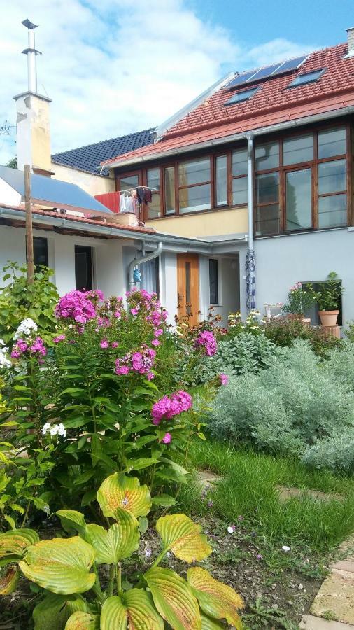 Za Vodou Guest House Moravská Nová Ves Eksteriør bilde