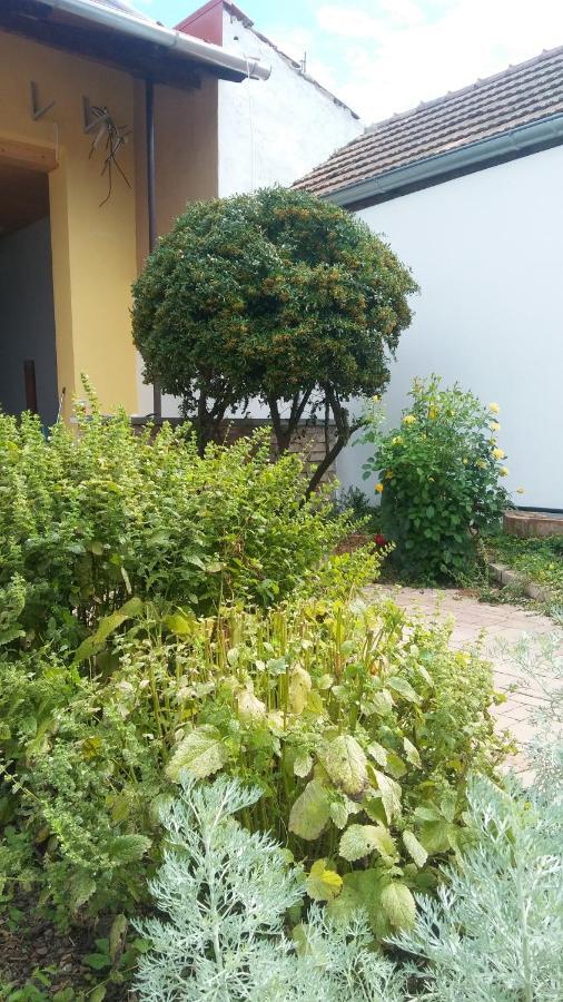 Za Vodou Guest House Moravská Nová Ves Eksteriør bilde