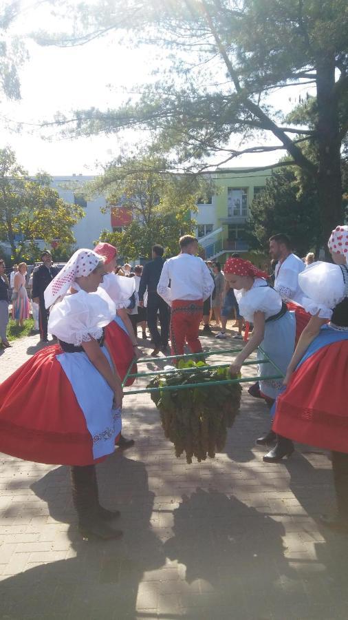 Za Vodou Guest House Moravská Nová Ves Eksteriør bilde